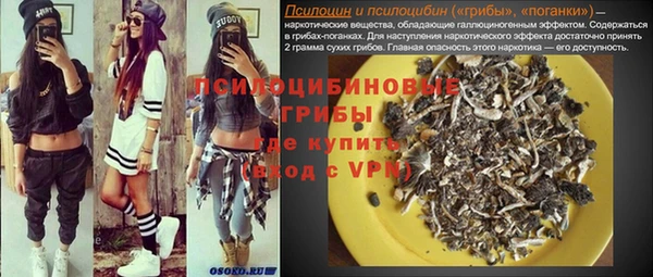 прущие грибы Алзамай
