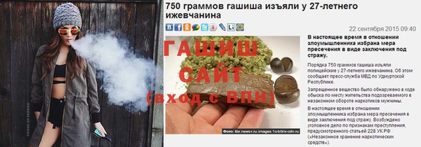 прущие грибы Алзамай