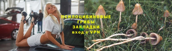 кристаллы Алексин