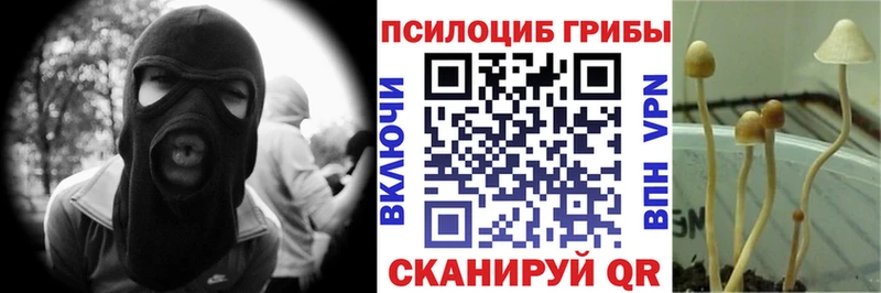 ОМГ ОМГ вход  наркота  Неман  Псилоцибиновые грибы мухоморы 